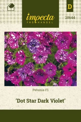 Petunia 'Dot Star Dark Violet'
