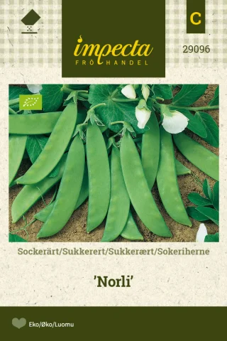 Sockerärt 'Norli'