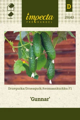 Druvgurka 'Gunnar'