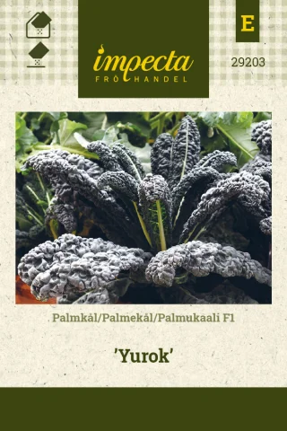 Palmukaali F1 'Yurok'
