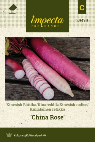 Kinesisk Rättika 'China Rose'