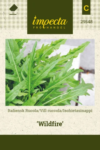 Italiensk Rucola 'Wildfire'