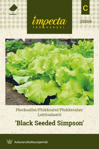 Plocksallat 'Black Seeded Simpson'