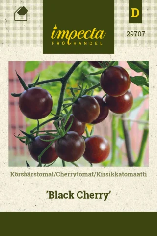 Körsbärstomat 'Black Cherry'