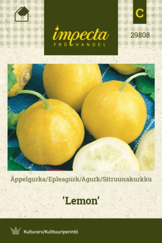 Sitruunakurkku 'Lemon'