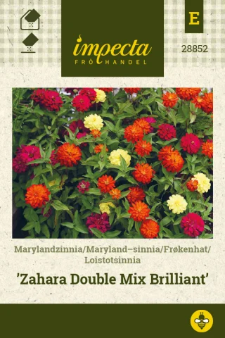 Loistotsinnia 'Zahara Double Mix Brilliant'