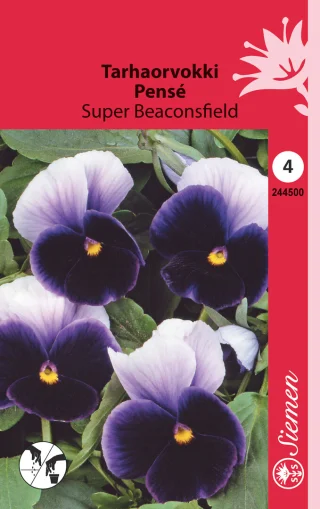 Tarhaorvokki 'Super Beaconsfield'