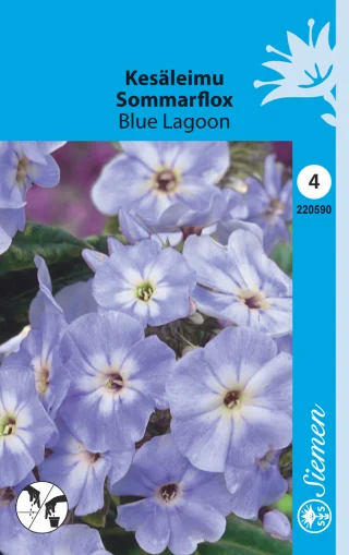 Kesäleimu 'Blue Lagoon'