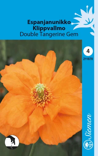 Espanjanunikko 'Double Tangerine Gem'