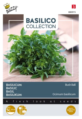 Basilika 'Bush Ball'