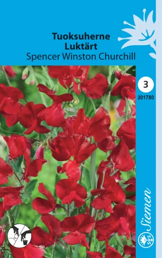 Tuoksuherne 'Spencer Winston Churchill'