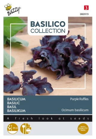 Basilika 'Purple Ruffles'