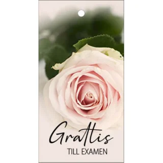 Kimppukortti 'Grattis till examen'