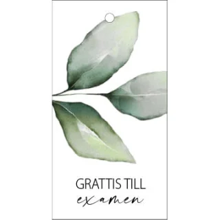 Kimppukortti 'Grattis till examen'