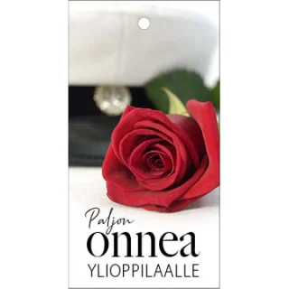 Kimppukortti 'Onnea ylioppilalle'
